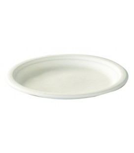 Grande assiette blanche en carton- AV-014 -